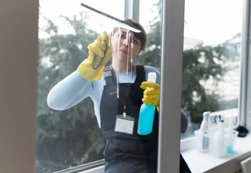 Nettoyage de vitres intérieures et extérieures à Saint-Romain-d'Ay